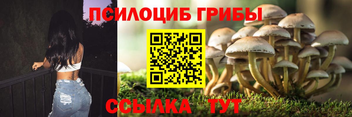 Псилоцибиновые грибы мухоморы Улан-Удэ